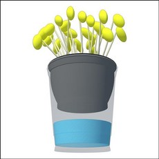 콩나물키우기5인용