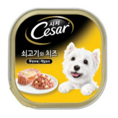 시저 애견간식 캔, 쇠고기와 치즈 (1세 이상), 100g, 6개
