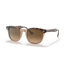 레이벤호크아이