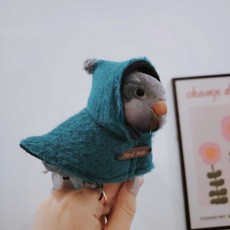 귀여운 머쉬룸 버섯 새 망토 가을 겨울 옷 의류 앵무새 보온 의상, 1개, 3. 모란 공작 블루