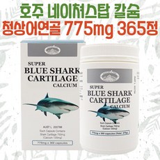 상어연골면세점