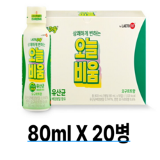 락토조이 오늘비움 유산균음료, 160ml, 10개