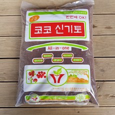 코코신기토