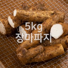 안동 태산농장 장마 2kg 3kg 5kg, 5kg (k.장마파지), 1박스