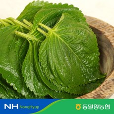 밀양도레미마켓깻잎