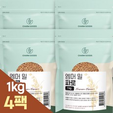 파로곡물 TOP01