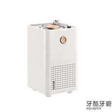 뉴트로 듀얼 삼립 호빵 야옹이 가습기 일상공감 레트로 레코드 플레이어 가습기 큰 안개, H-35 단일 스프레이 화이트  80  81  1