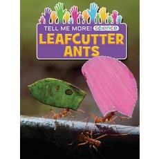 Leafcutter Ants Paperback, Ruby Tuesday Books, English, 9781788561518