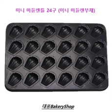 마들렌원데이