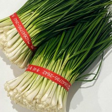 꼼꼼하게 손질한 깐실파 한단 약 1kg내외, 1개, 2kg