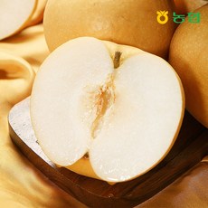산지직송 농협 나주배 가정용 소과 5kg 14~16과, 1개