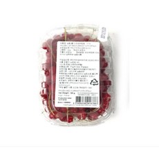 냉동레드커런트