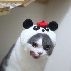 강아지모자손뜨개만들기