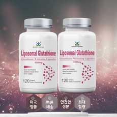 헬시파트너 리포소말 글루타치온 5100mg 120소프트젤 2통 리포조말 효능 효과 리포좀, 2개, 120정 - 프롬더셀에이징라인3000mg