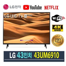 LG전자 스마트TV ThinQ 43인치 리퍼 4K UHD 43UM6910 로컬변경 완료 (2019년), 센터 방문수령