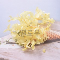 [캔들이케아] 컬러 수국 프리저브드 드라이플라워, 옐로우