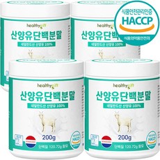 네덜란드육아법