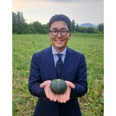 제주 산지직송 미니 단호박 보우짱 4kg 5kg 10kg, 1박스, 5KG 소/중 크기