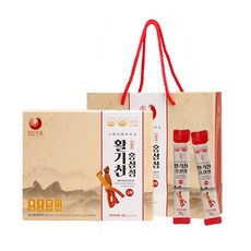 홍삼가건보 활기찬 진안 홍삼정 스틱 30포 + 쇼핑백, 300g x 1세트