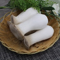 7f04868b3a29653f2615cc7b6daf036dc0e01f631a1f6c75fc841da79122.jpg