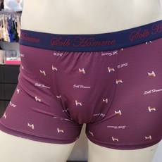 비너스남자팬티