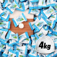 맛고을스텐레스가마솥