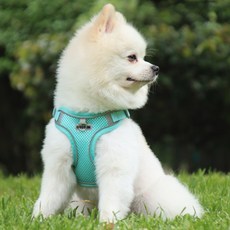 디아쿠아 강아지 고양이 겸용 야광 빛반사 쿨 메쉬 하네스+리드줄, 민트