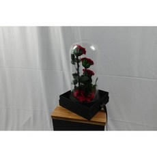 시들지 않는 당신의 사랑을 전하세요~ 프리저브드 플라워 보존화 빨간 장미 세송이 초대형 유리돔