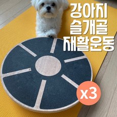  스몰티즈 강아지 짐볼 밸런스보드, 3개 