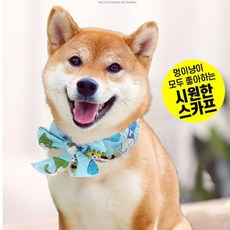 냥쿠아리움 강아지 고양이 쿨스카프 1+1, 화이트, 1개