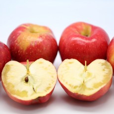 사과 청송사과 껍질째먹는 꿀 부사 못난이 흠집 5kg-추천-상품