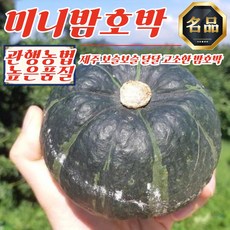 제주 농부 미니밤호박 5kg (10-25개), 1개