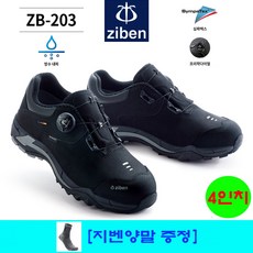 zb-203
