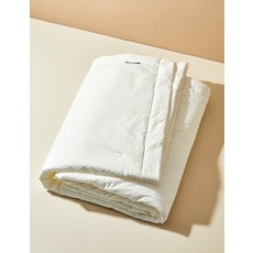 빠른배송 [더 조선호텔] 스노우 냉감 차렵이불 2종 (택1) 19812