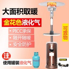 삿갓 난로 히터 야외 전기 업소용 카페 테라스 파티오 우산형 스탠드 실외 난방, N. 골드 (천연가스) + 바퀴