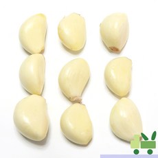 사라상회 깐마늘 (1등) 1kg, 1개