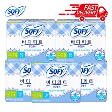 바디피트 순간흡수 생리대 소형, 1세트, 16개입, 5개