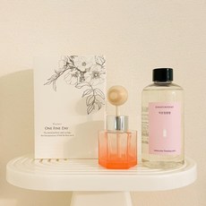 어느멋진날 디퓨저 작은정원향 [ 차량용세트 250ml (공병+스틱+리필오일250ml+선물박스) ]