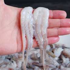 민씨푸드 손질 절단 쭈꾸미 냉동, 6개, 900g(M)