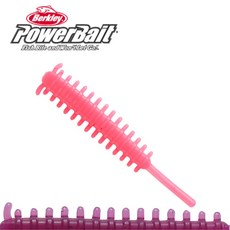 버클리샌드사딘