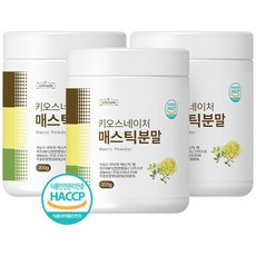 매스틱 분말 가루 매스틱검 위건강 그리스 키오스 메스틱 20% 고함량 HACCP 200g, 3개