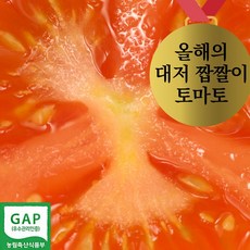  [산지직송 무농약토마토] 초고당도 부산 대저 짭짤이 토마토 1kg 2kg 2.5kg 1박스 대저 짭짤이 1키로 소과(S-2S)  상품 이미지
