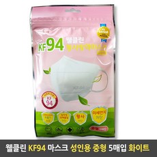 웰클린 황사마스크 KF94 성인 중형 5매입, 1개