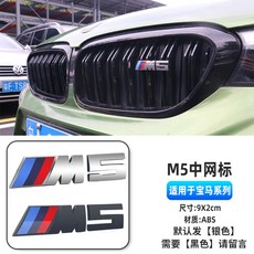 bmwm5전동차