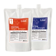 라샘화장품 모웰 단백질 매직 스트레이트 1300g, 1개, 1.3L
