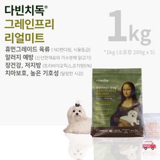 다빈치독