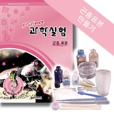 아크릴수지곤충표본만들기