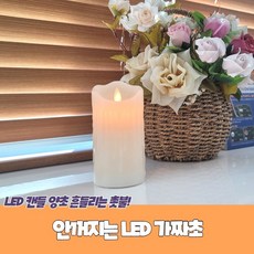 모형초