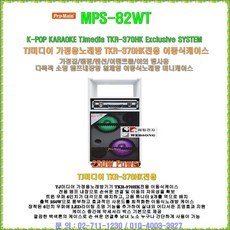 미니이동식노래방케이스 MPS-82WT/250W출력-6인치 우퍼2개/TJ미디어 TKR-370HK전용 이동형케이스/태진 가정용노래방기기 전용케이스/노래방반주기 케이스, MPS-82WT(6인치 우퍼/250W출력)
