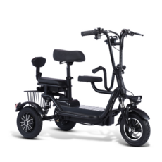 성인용 접이식 세발 전기자전거 소형 미니 라이딩, 사은품 7종, 18암페어 2인승 75km  48V